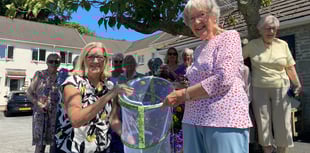 Butterfly release delights residents
