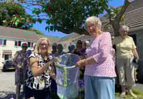 Tavistock butterfly release delights residents