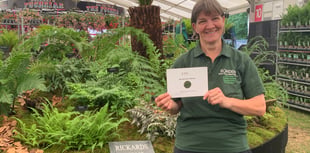 Bowdens Nursery enjoys Hampton Court success