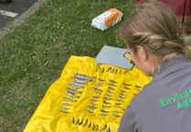 Pollution alert at River Lew: Keep pets safe