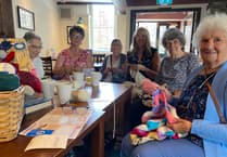 Tavistock charity knitters launch new cause
