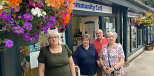 Vibrant blooming baskets brighten town
