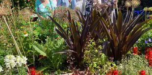 Village shows off its blooms in national contest
