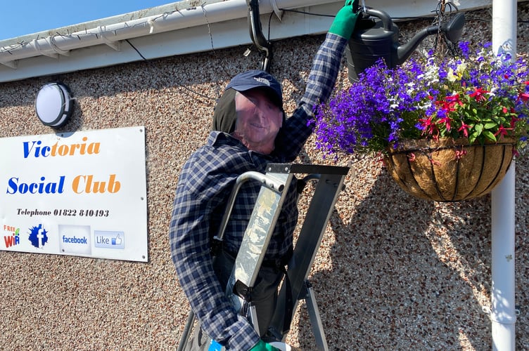 Bere Alston in Bloom's scarecrow competition entry from the Victoria Social Club featuring an image of the chairman's face.