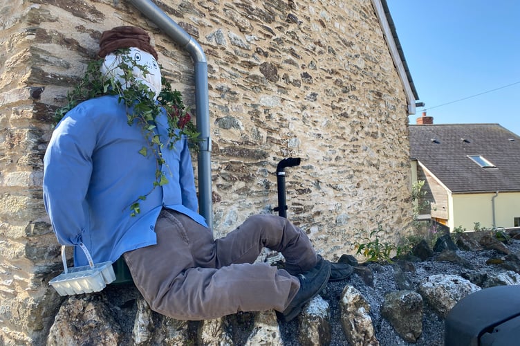 A lounging scarecrow in the Bere Alston In Bloom scarecrow competition.