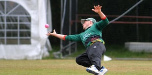 Tavistock enjoying a rich vein of form