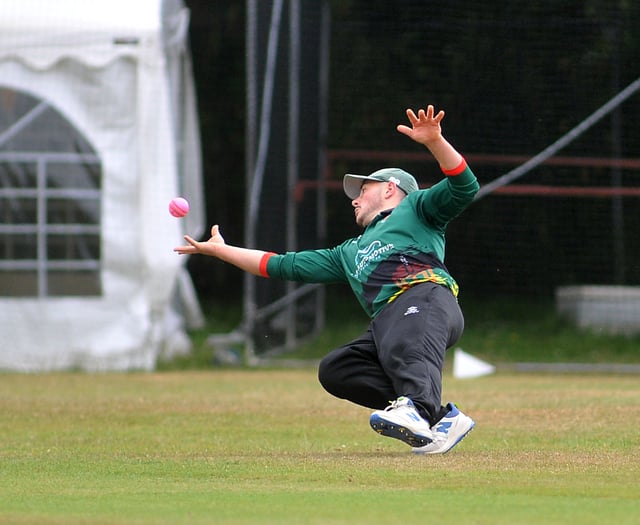 Tavistock enjoying a rich vein of form