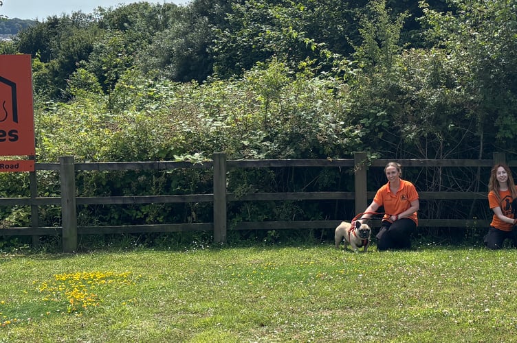 Staff at Gables with some of the dogs on the piece of land at its entrance which Plymouth City Council has now secured