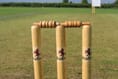 Bridestowe 2nd XI are well-beaten