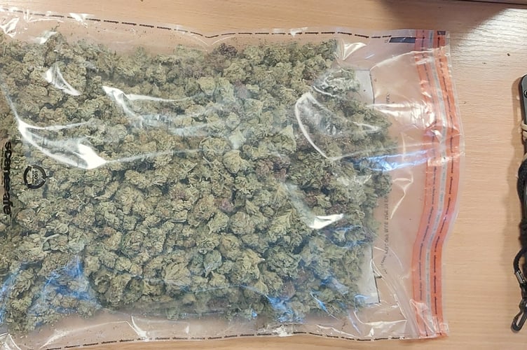 Quantity of cannabis seized from a property in Northlew, Okehampton on Friday 11 July