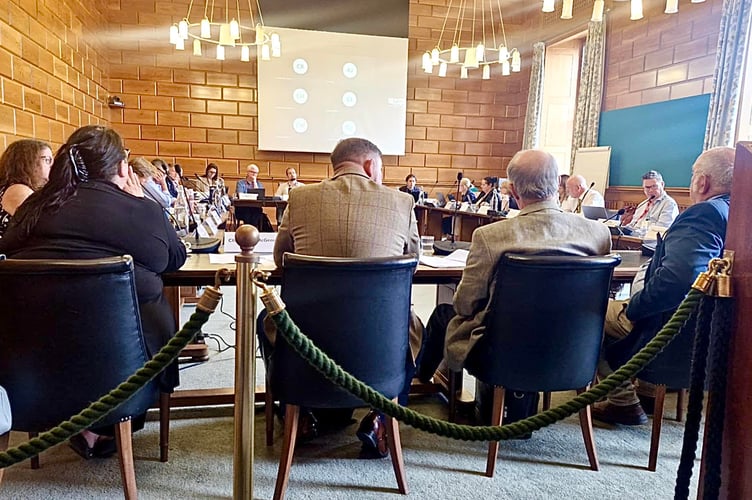 Councillors debate the possible removal of the fire co-responder service. Credit: Nigel Kenneally