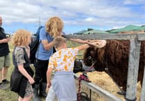 Show promises to be a hub of activity