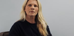 'Unforgivable' driver fails to report  Dartmoor pony collision