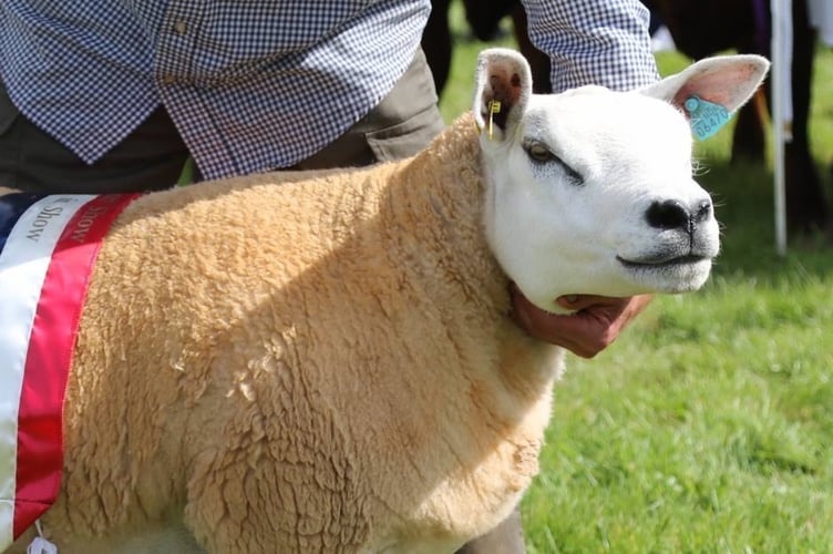 okehampton show