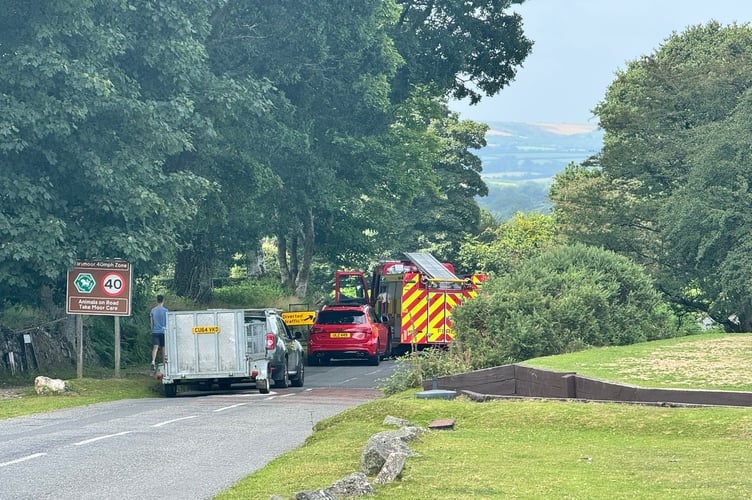 The scene this afternoon near Tavistock Golf Club on Whitchurch Down. As Whitchurch Road is also closed, drivers are advised to avoid the area.