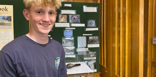 Young volunteers' vital museum role
