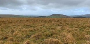 Another common designated on Dartmoor
