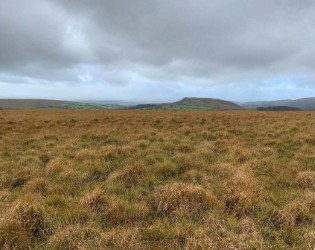 The newly-registered land near Sheeps Tor