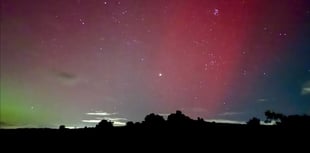 Stunning images in focus by Dartmoor photographers