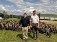 Mel Stride MP: I will continue to stand up for farmers