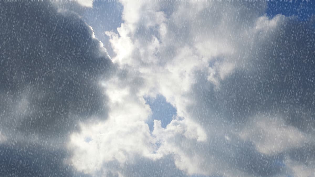 Wettervorhersage für Tavistock: Heute Nebel, morgen vereinzelte ...