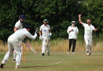 Devon Cricket League relegation fears for Whitchurch Wayfarers and Yelverton