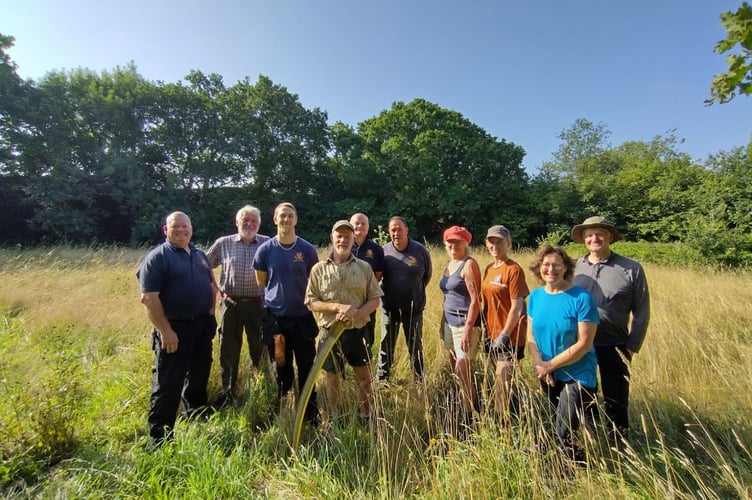 Medieval scything is the newest and best way of looking after wildlife habitats on Tavistock grassland. 