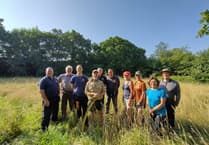 Tavistock green burial meadow cut for hay the traditional way