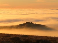 Talented snappers capture Dartmoor beauty