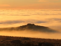 Talented snappers capture Dartmoor beauty