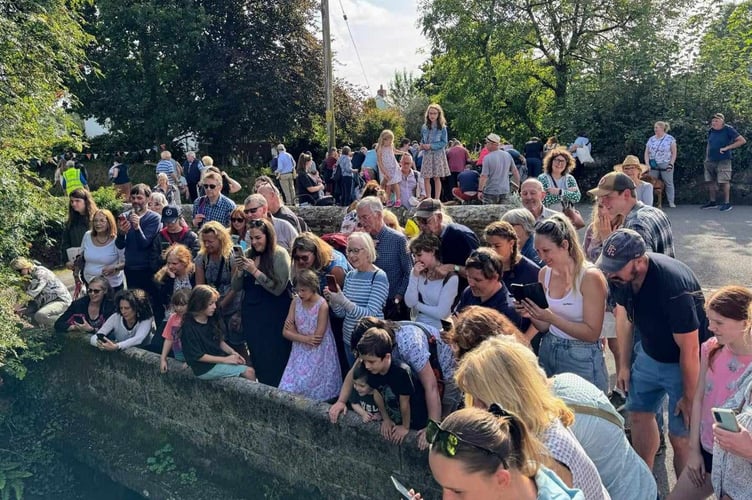 Peter Tavy Fayre duck race finish 2024.
