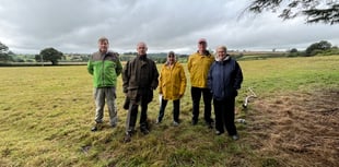 Tavistock new homes raise gridlock concerns