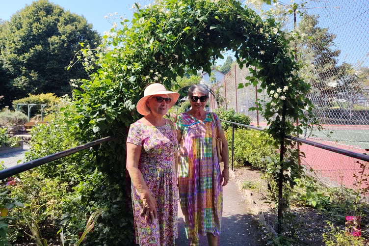 Keeping cool in Tavistock Sensory Garden as yet another heatwave strikes.