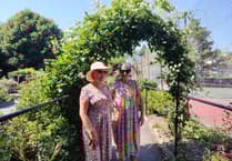 Keeping cool amid the heatwave in Tavistock