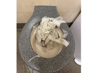 Vandalism at public toilets causes flooding