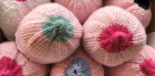 Knitters turn out knitted boobs for breastfeeding support