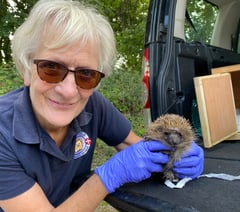 Singalong for a prickly problem