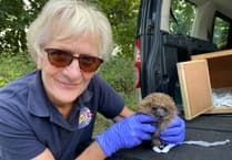Okehampton singalong for a prickly problem