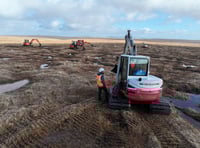 Degraded peatland on Dartmoor set to be restored