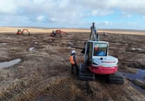 Degraded peatland on Dartmoor set to be restored
