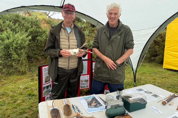 The Devon Mammal Group had animal skulls, droppings, nibbled hazelnuts and stuffed specimens on their stall.