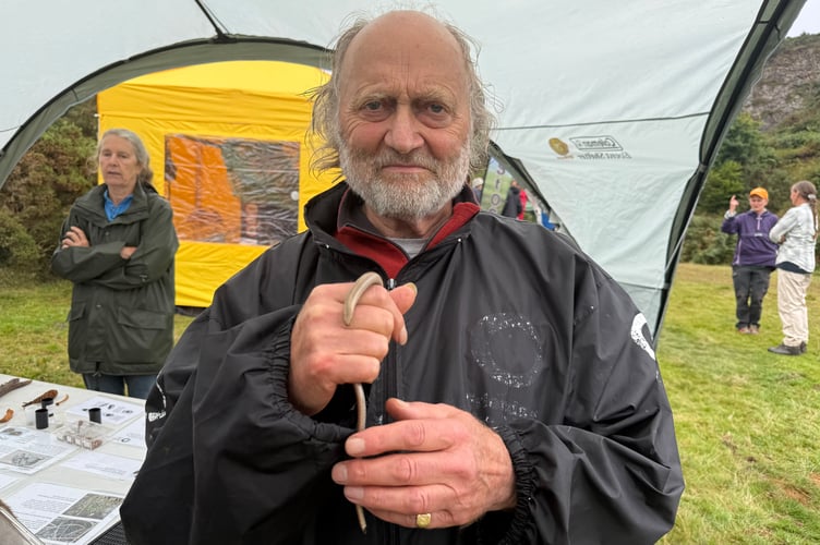 Dave from the Devon Amphibian and Reptile Group holding a slow worm.