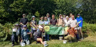 Moor Trees gets £50k for Dartmoor woodlands