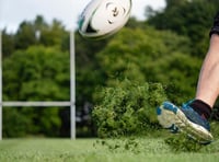 Tavistock defeated by Vandals