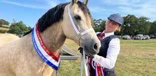 ‘Bumper crowd’ attended ‘wonderful’ Chagford Show
