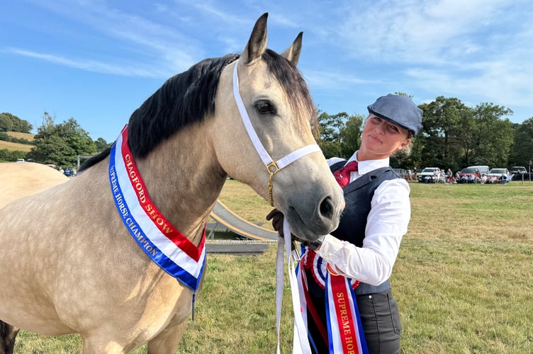 Supreme Champion Horse was Penlangrug The Democrat, a 9-year-old Section D, owned by Millie Logan from near Okehampton.  AQ 1126
