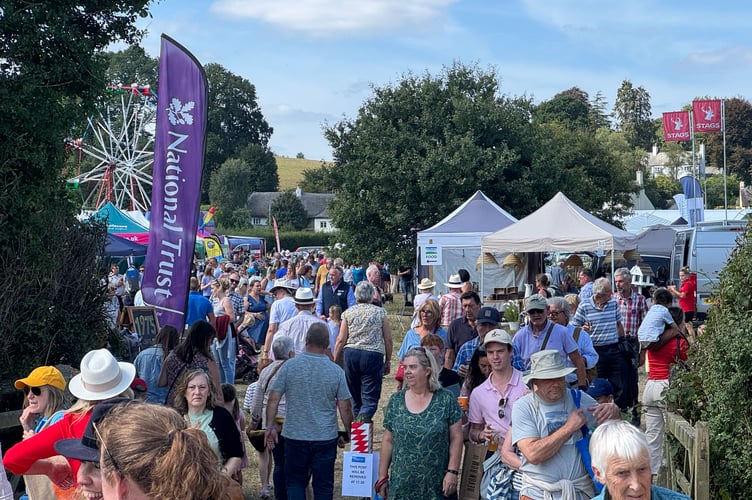 A busy view at Chagford Show. AQ 1051