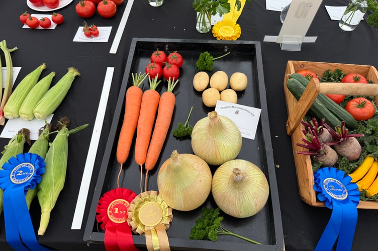 David Hoare from North Tawton won the Collective Exhibit of Vegetables class at Chagford Show. AQ 1009