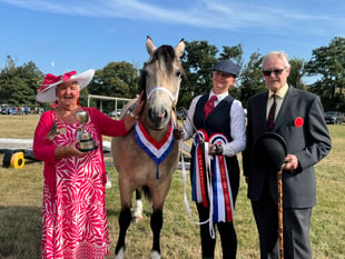 No sheep or cattle at this year's Chagford Show