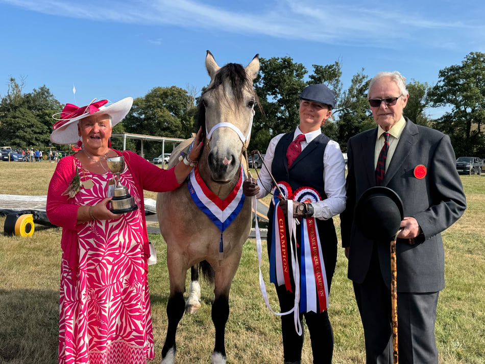 No sheep or cattle at this year's Chagford Show